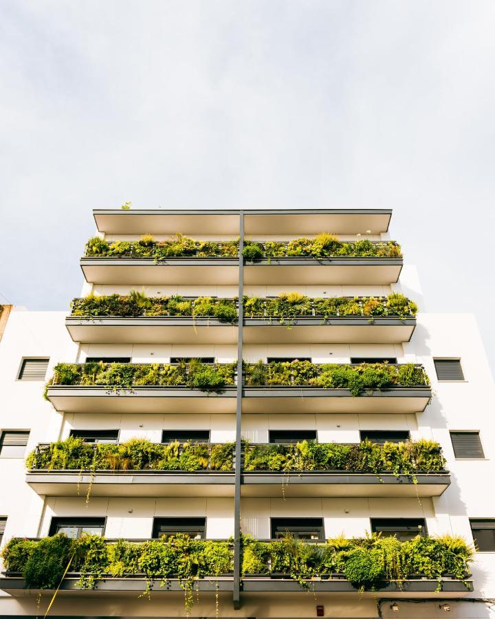 Treetriana, Seville